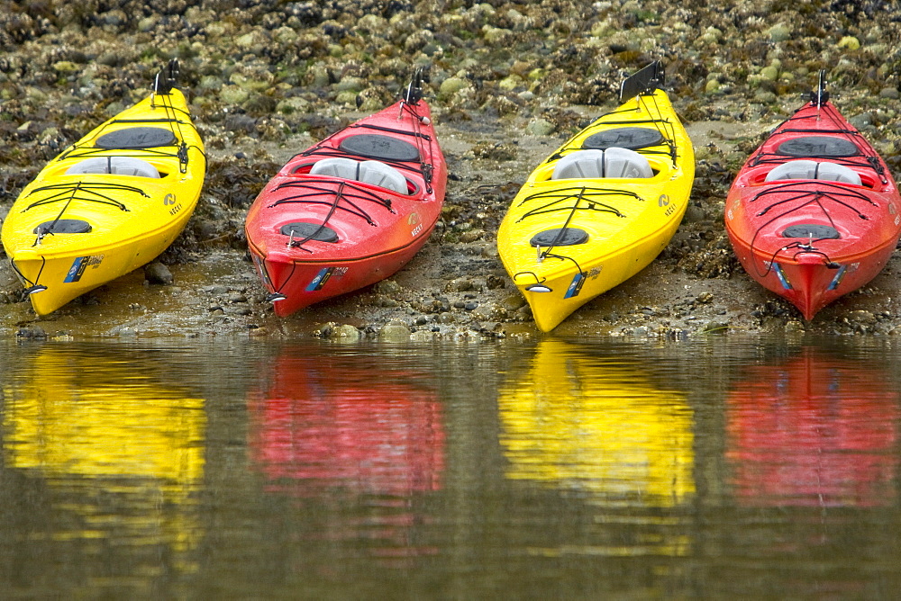 Kayaking from the Lindblad Expedition ship National Geographic Sea Lion in the fog in Tracy Arm in Southeast Alaska, USA. Pacific Ocean. No model or property release available for this photograph.