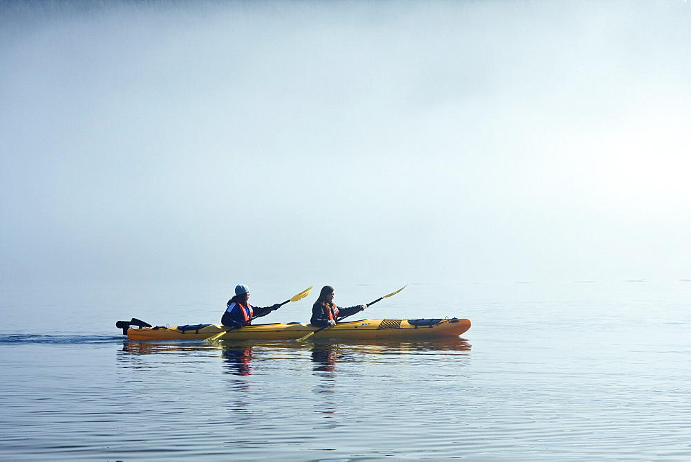 Kayaking from the Lindblad Expedition ship National Geographic Sea Lion in the fog in Tracy Arm in Southeast Alaska, USA. Pacific Ocean. No model or property release available for this photograph.