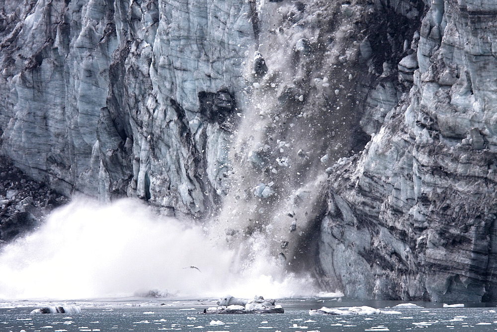 Lamplugh Glacier in Glacier Bay National Park, southeast Alaska, USA