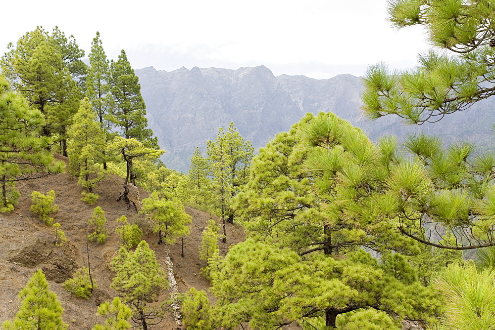 Views from Isla de La Palma, volcanic ocean island, Canary Islands, Spain