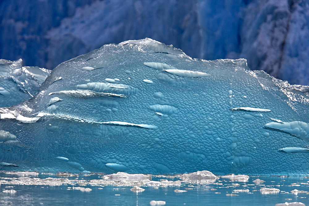 Views of the magnificent scenery including calved icebergs from the Sawyer Glaciers in Tracy Arm Wilderness Area in Southeast Alaska, USA. Pacific Ocean.