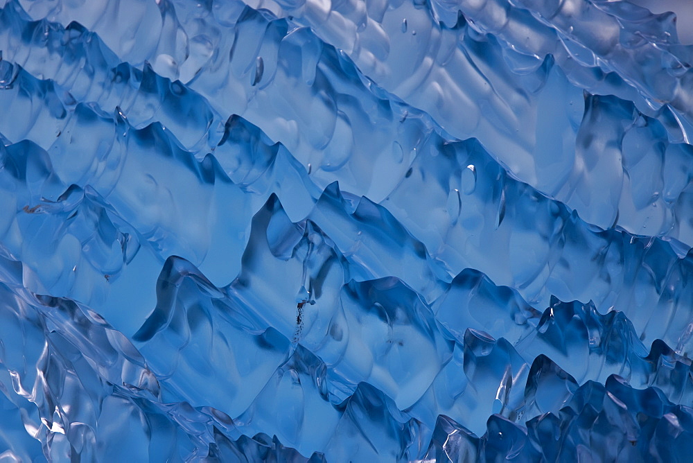 Glacial iceberg detail from ice calved off the Sawyer Glacier in Tracy Arm, Southeast Alaska, USA. 