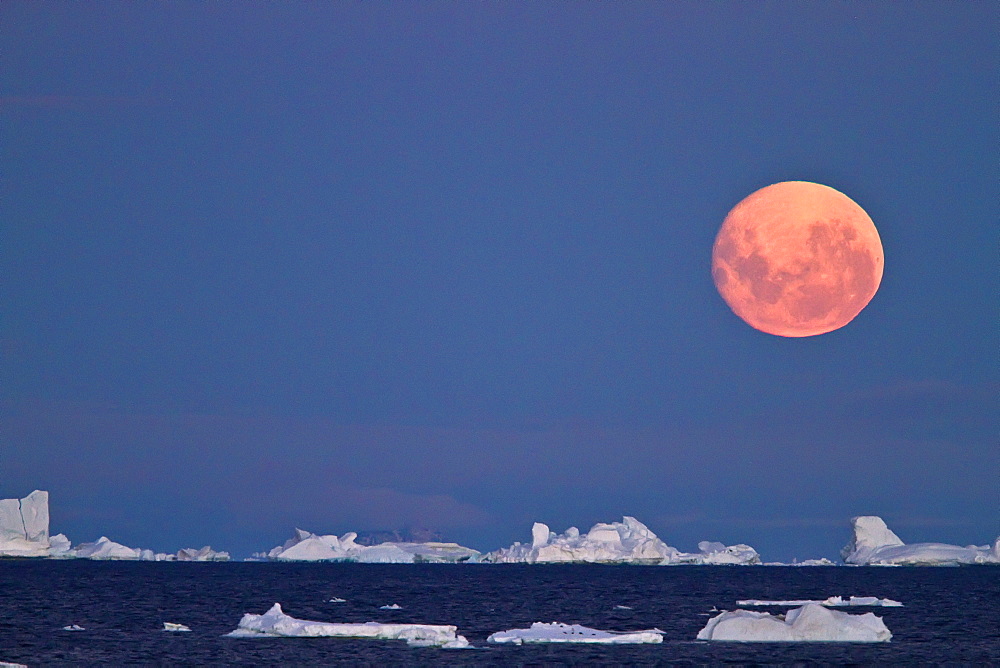 Full moon (plus 1 day) rising over icebergs in the Weddell Sea, Antarctica. MORE INFO This moonrise occurred on January 1, 2010, the night after the blue moon full of December 31, 2009.