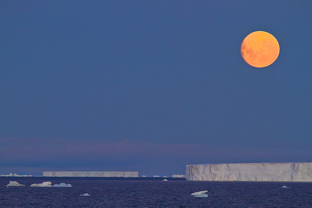 Full moon (plus 1 day) rising over icebergs in the Weddell Sea, Antarctica. MORE INFO This moonrise occurred on January 1, 2010, the night after the blue moon full of December 31, 2009.