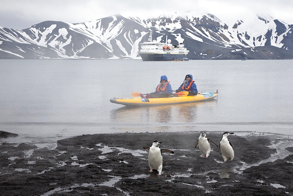 Guests from the Lindblad Expedition ship National Geographic Explorer kayaking in and around the Antarctic Peninsula in the summer months. 