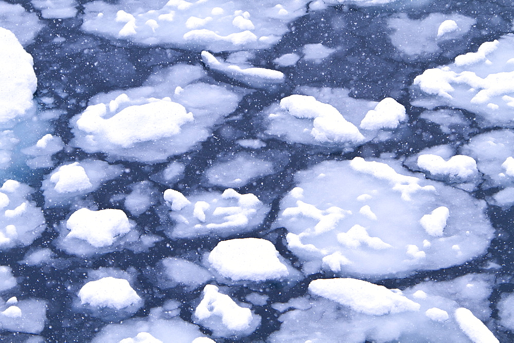 Blizzard conditions cause the ocean's surface to begin to freeze in Dahlmann Bay, Antarctica, Southern Ocean. MORE INFO First signs of grease ice as the surface of the sea begins to freeze.