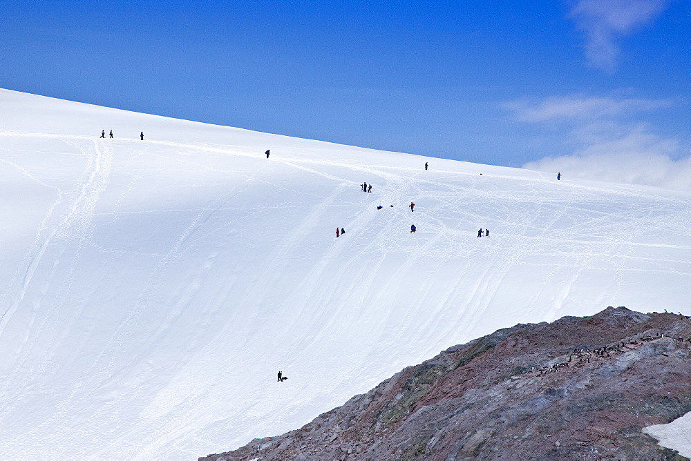 Lindblad Expedition guests enjoying the snow-covered hills of Neko Harbour on the Antarctic Peninsula on Andvord Bay,  Antarctica, Southern Ocean