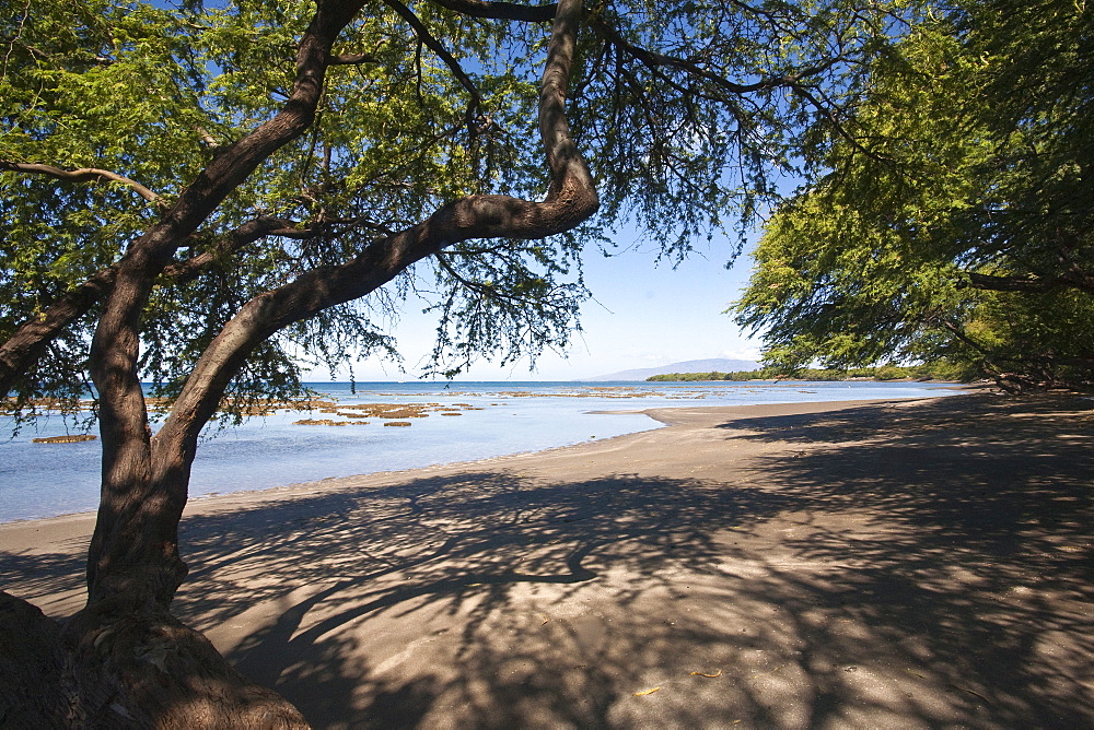 Views of the beach at Olowalu Reef on the west side of the island of Maui, Hawaii, USA. 