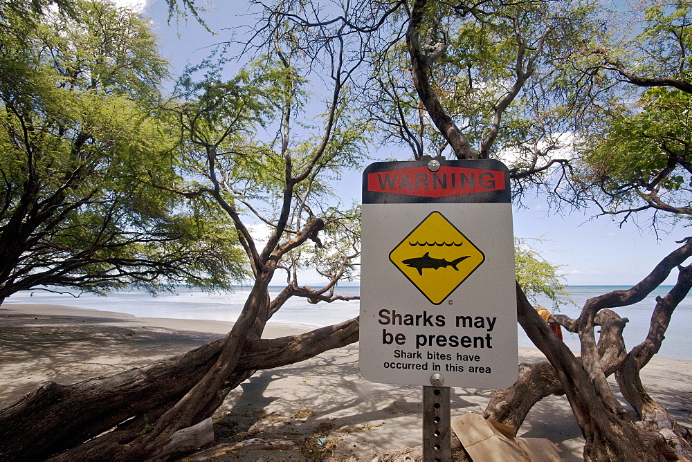 Views of the beach at Olowalu Reef on the west side of the island of Maui, Hawaii, USA. 