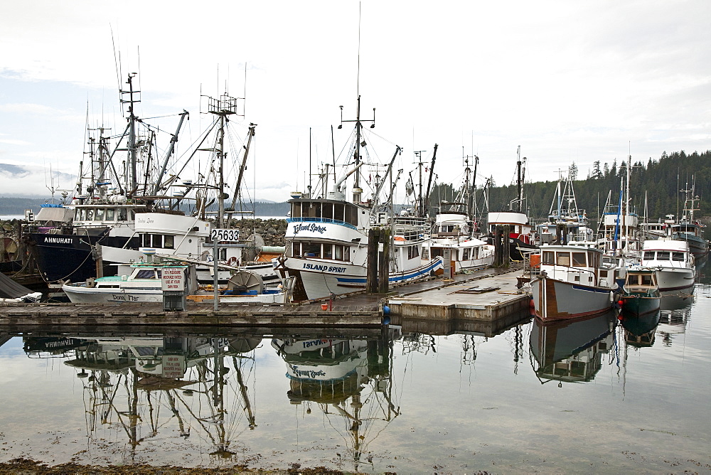 Fishing fleet at harbor in Alert Bay, British Columbia, Canada. 