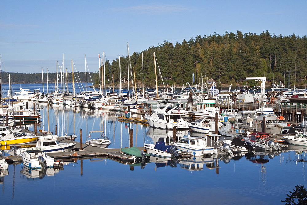 Views of the docks at Friday Harbor on San Juan Island, Washington State, USA, Pacific Ocean.