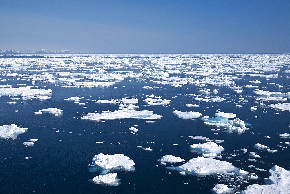 Open leads surrounded by multi-year ice floes in the Barents Sea between EdgeÃ®ya (Edge Island) and Kong Karls Land in the Svalbard Archipelago, Norway.