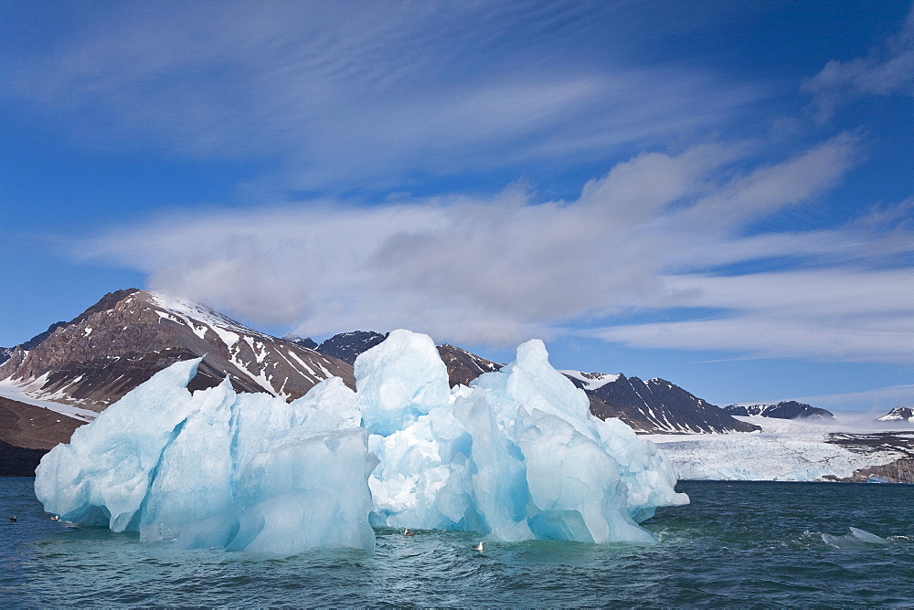 Calved icebergs from the glaciers at BlomstrandhalvÃ®ya in Kongsfjord on the western side of Spitsbergen in the Svalbard Archipelago, Norway.