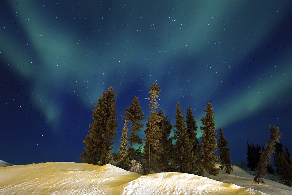 Aurora Borealis (Northern (Polar) Lights) over the boreal forest outside Yellowknife, Northwest Territories, Canada