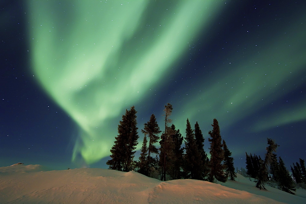 Aurora Borealis (Northern (Polar) Lights) over the boreal forest outside Yellowknife, Northwest Territories, Canada