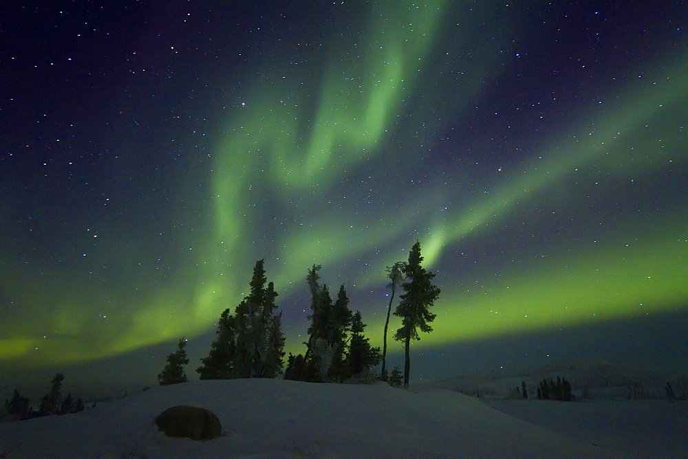 Aurora Borealis (Northern (Polar) Lights) over the boreal forest outside Yellowknife, Northwest Territories, Canada