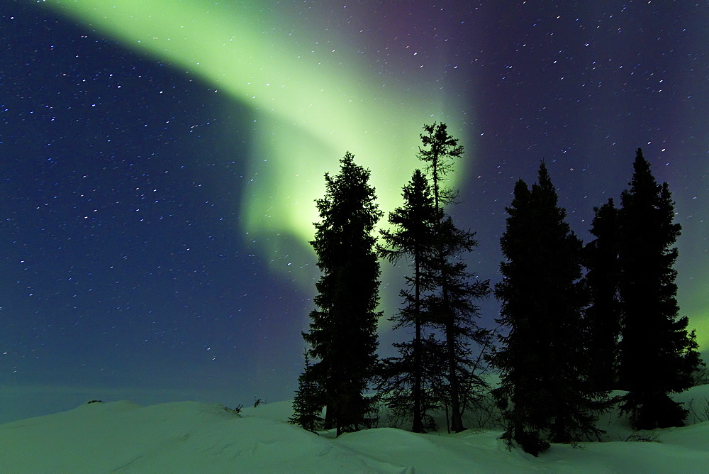 Aurora Borealis (Northern (Polar) Lights) over the boreal forest outside Yellowknife, Northwest Territories, Canada