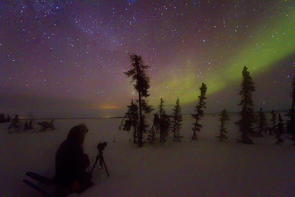 Aurora Borealis (Northern (Polar) Lights) over the boreal forest outside Yellowknife, Northwest Territories, Canada