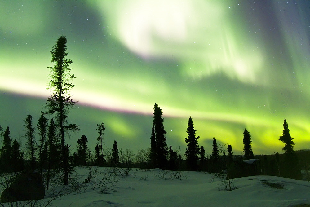 Aurora Borealis (Northern (Polar) Lights) over the boreal forest outside Yellowknife, Northwest Territories, Canada