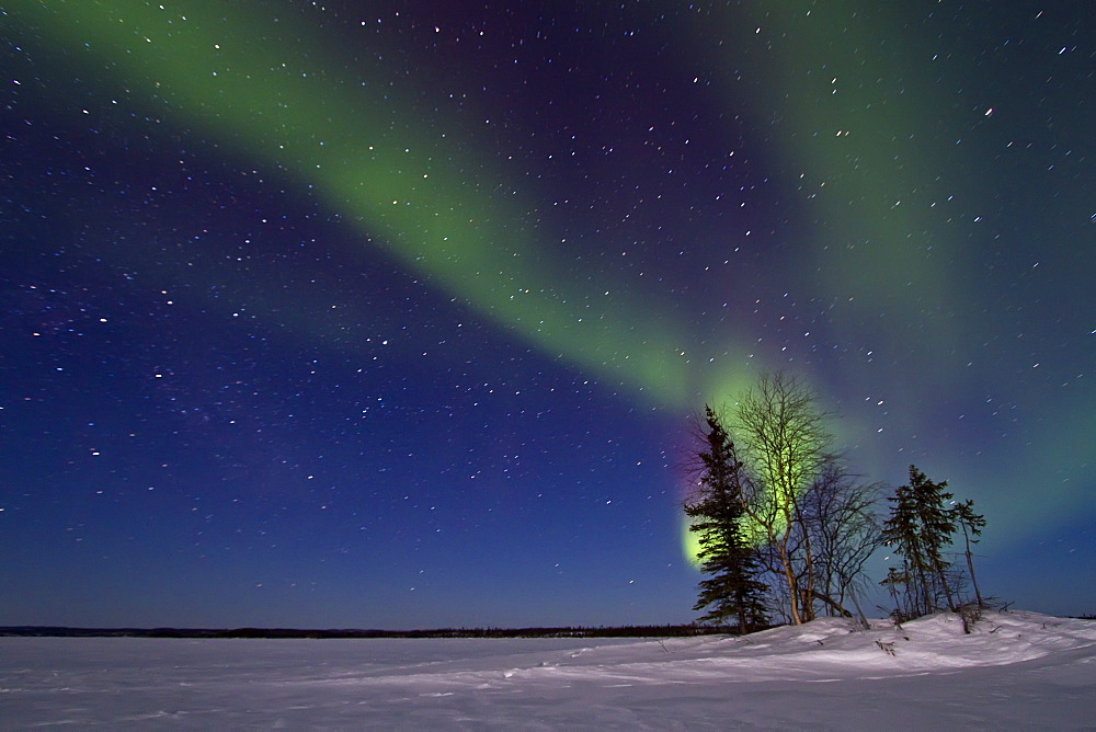 Aurora Borealis (Northern (Polar) Lights) over the boreal forest outside Yellowknife, Northwest Territories, Canada