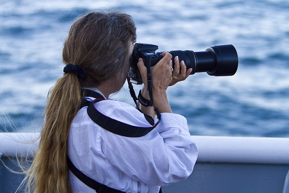 Staff member Linda Burback from the Lindblad Expedition ship National Geographic Sea Bird taking a photograph in the middle Gulf of California (Sea of Cortes), Baja California Norte, Mexico.