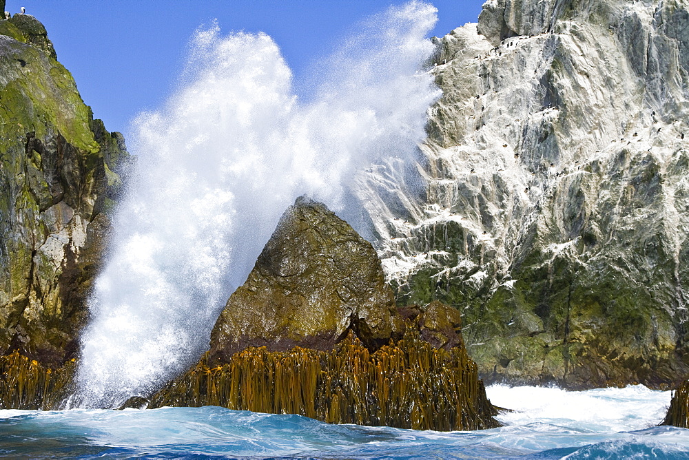 Shag Rocks, Scotia Sea, South Atlantic Ocean