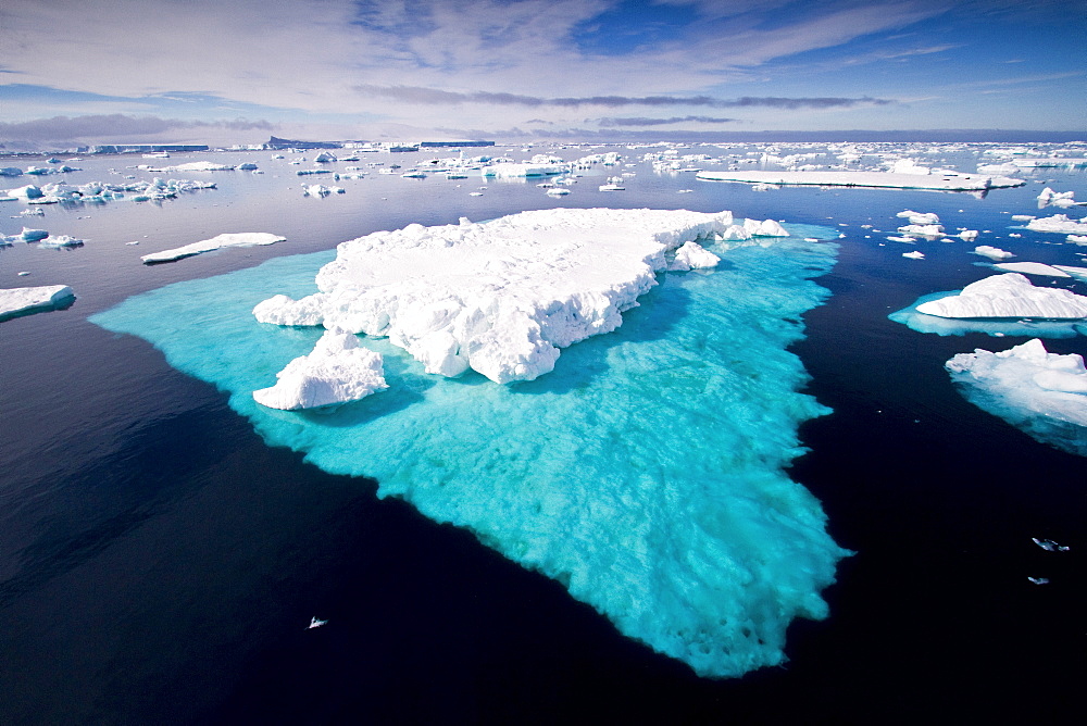 Icebergs and sea ice in the Weddell Sea on the eastern side of the Antarctic Peninsula during the summer months, Southern Ocean