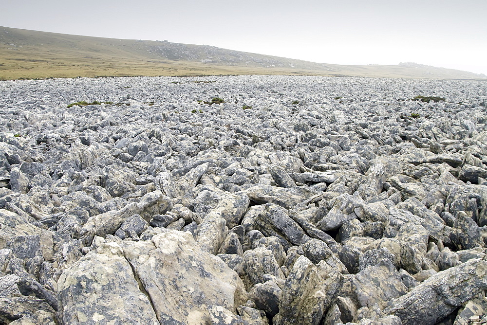 Views of the famous stone runs just outside Stanley, the capital and only true city (with a cathedral) in the Falkland Islands, South Atlantic Ocean