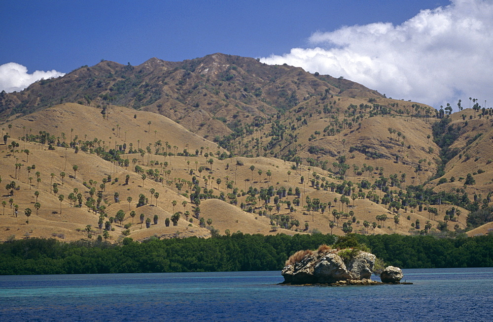 Scenic shot of coastline, Komodo Bay.