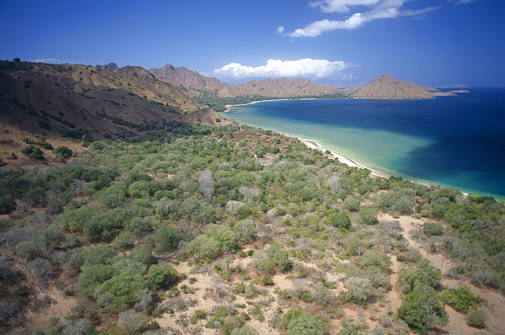 Aerial shot of coastline, Komodo Bay.