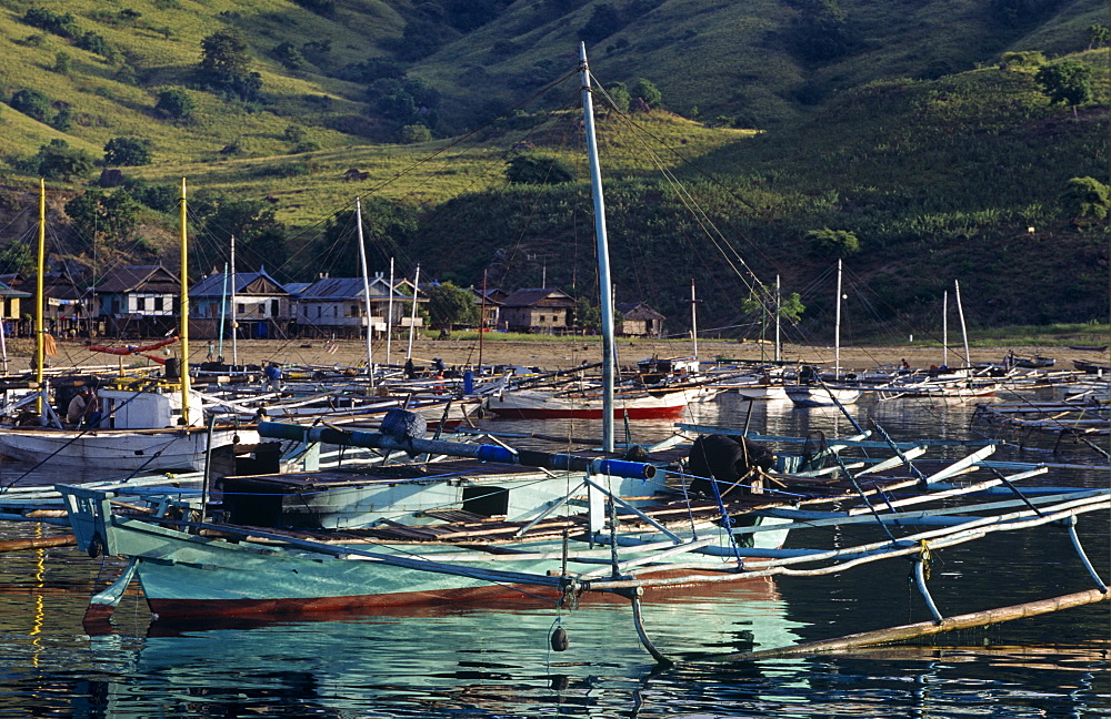 Squid fishing boat.   