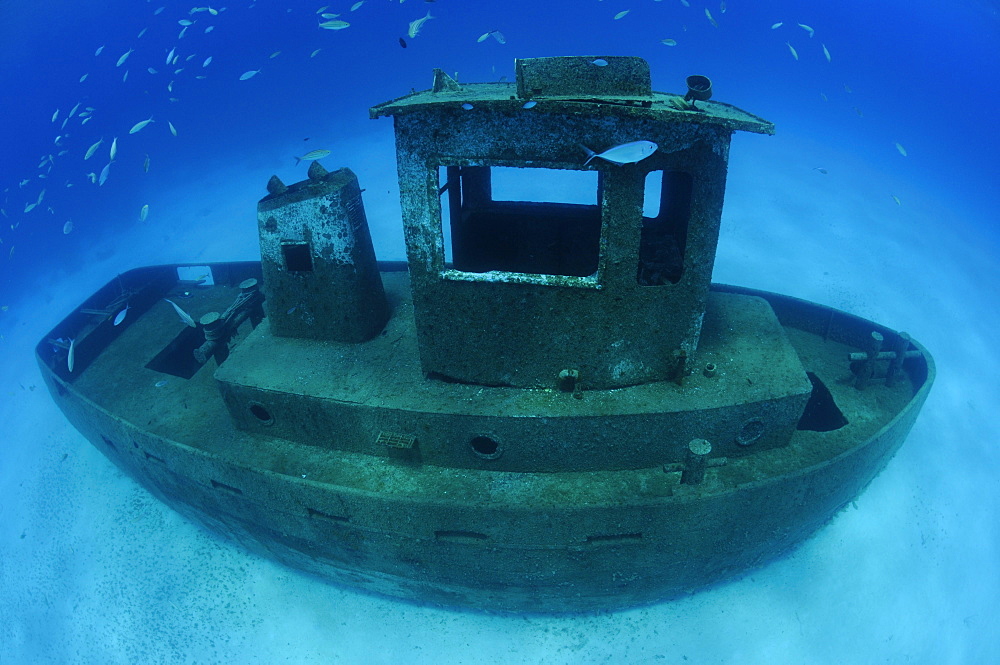 Wreck of the ''Blue Plunder''- Bahamas