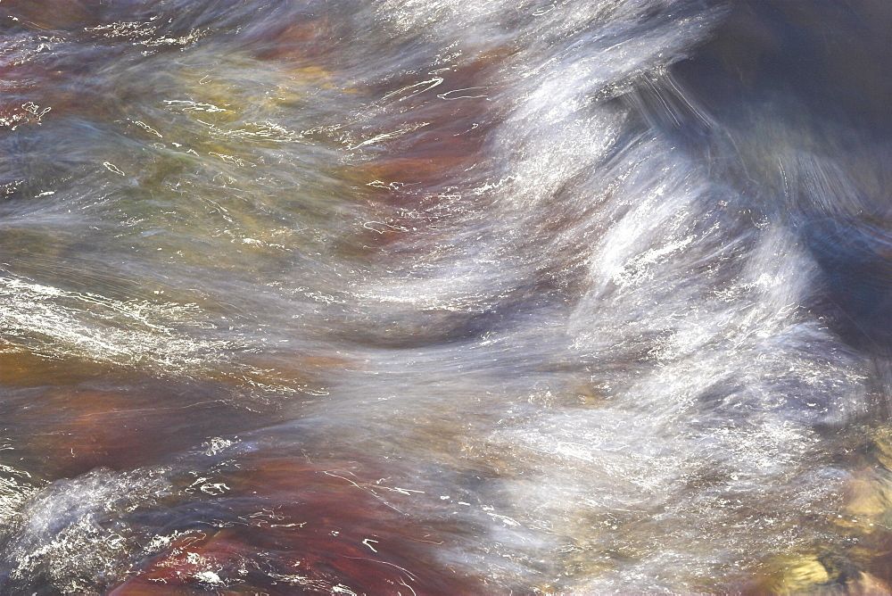 Long exposure shot of light trails on seaweed and water, Cardigan Bay, West Wales, UK   (RR)