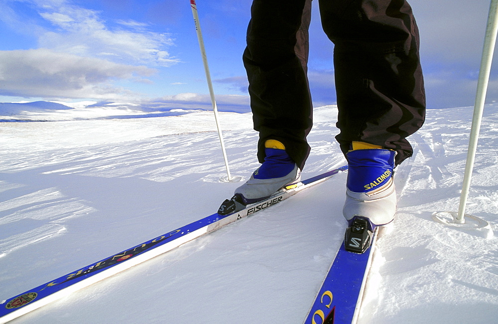 cross country skiing