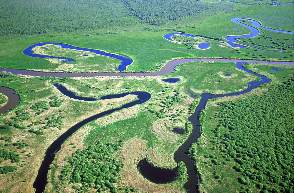 Estonian rivers, Emaja Jogi, showing oxbow bends, Alam Pedja NR, Estonia