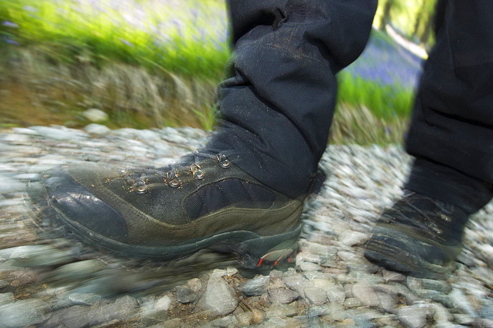 Walker on a new path, Stirlingshire, Scotland