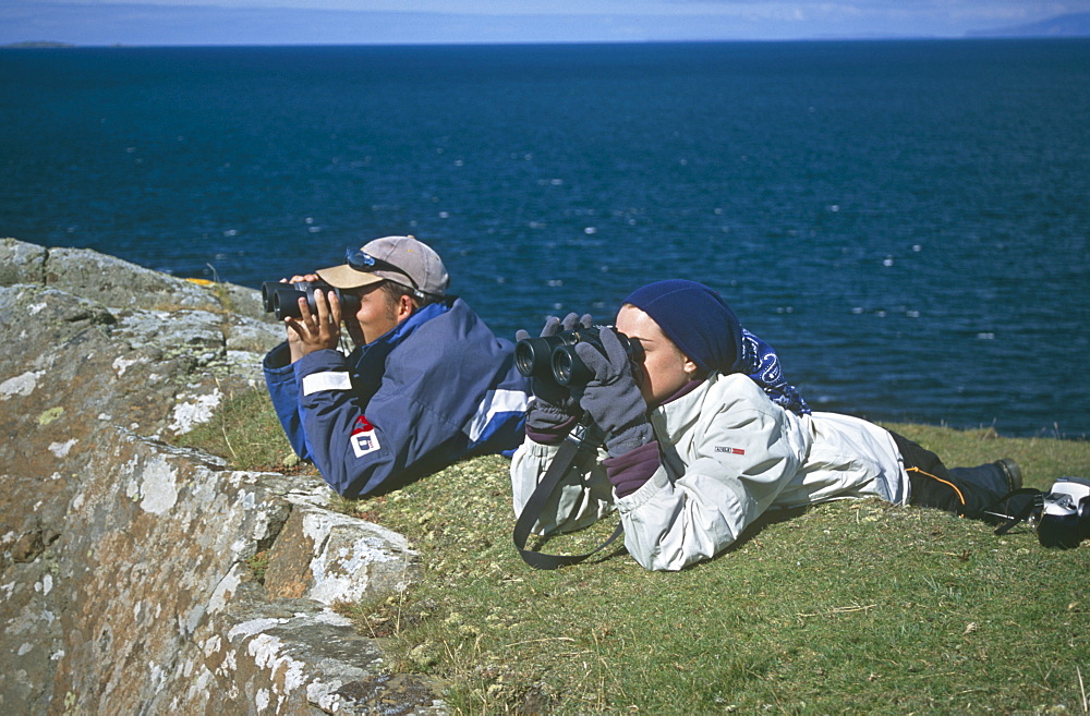 Land-based cetacean survey.  Cetacean survey work by personnel of the Hebridean Whale and Dolphin Trust.  Caliach Point, Isle of Mull, Scotland