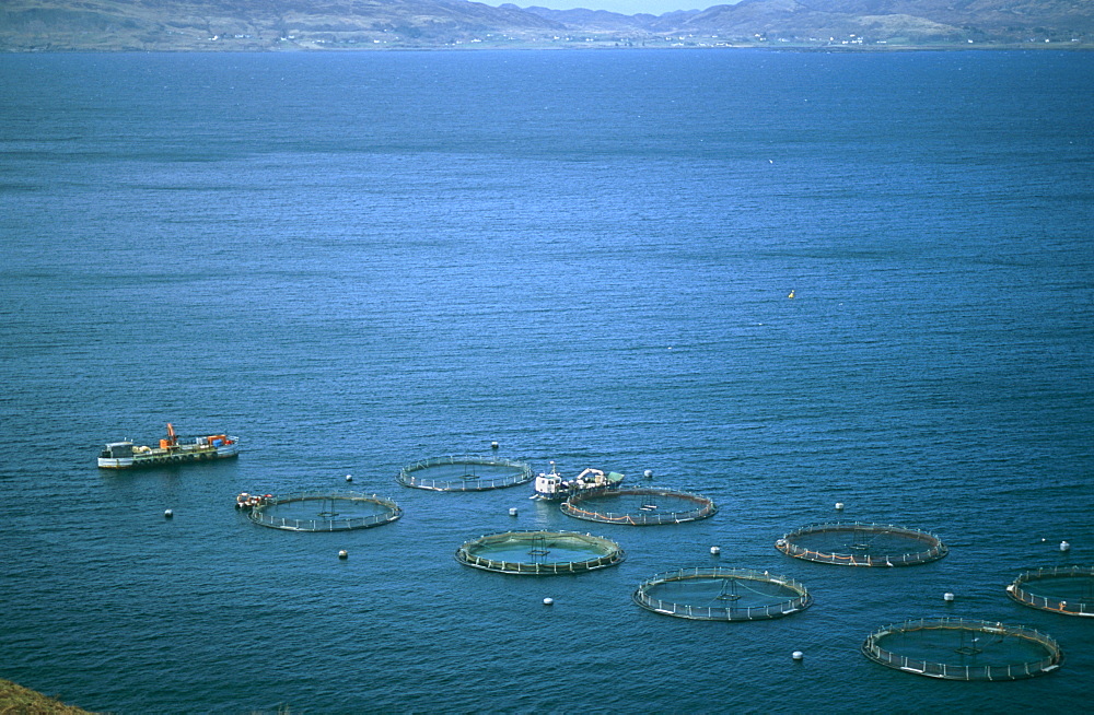 Salmon fish farm. Hebrides, Scotland