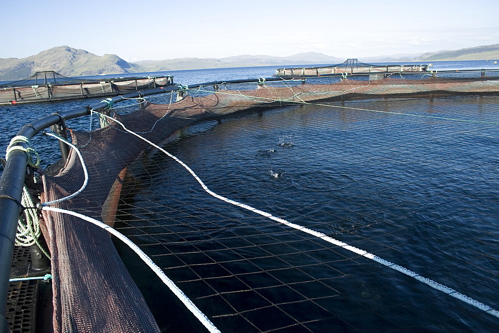 Salmon fish farm.  Hebrides, Scotland.