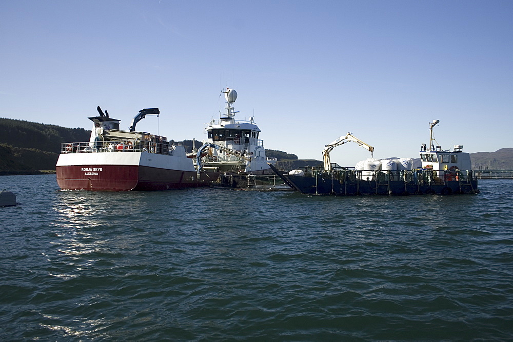 Longliners at a salmon farm. Hebrides, UK.