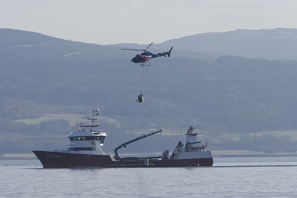 Helicopter supplying salmon farm. Hebrides, UK.