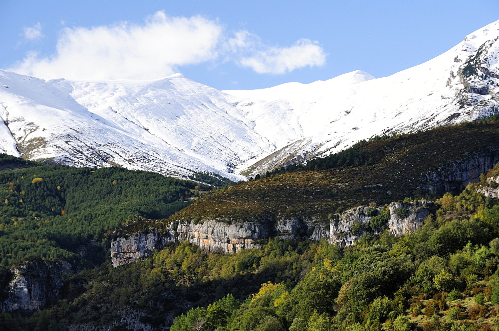 Limestone escarpments above Escuain gorge with snow covered high Pyrenees peaks in the background, Huesca, Aragon, Spain, Europe