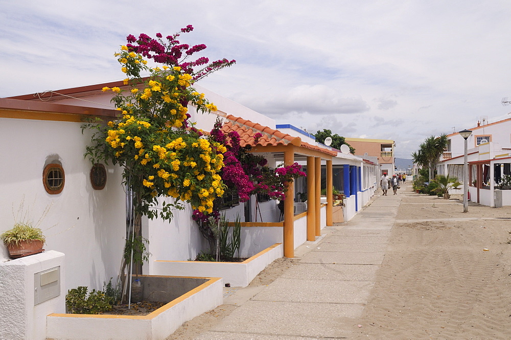 Main street of fishermen's village on Culatra island, Parque Natural da Ria Formosa, near Olhao, Algarve, Portugal, Europe