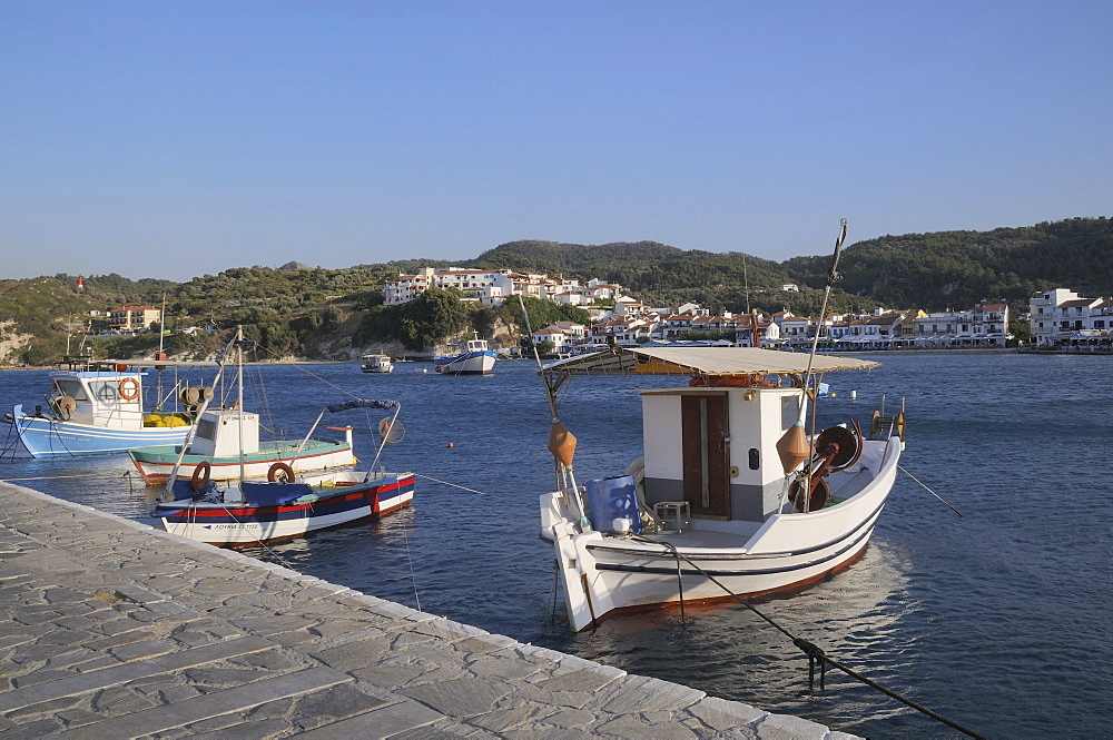 Fishing boats moored in Kokkari harbour, Samos, Eastern Sporades, Greek Islands, Greece, Europe