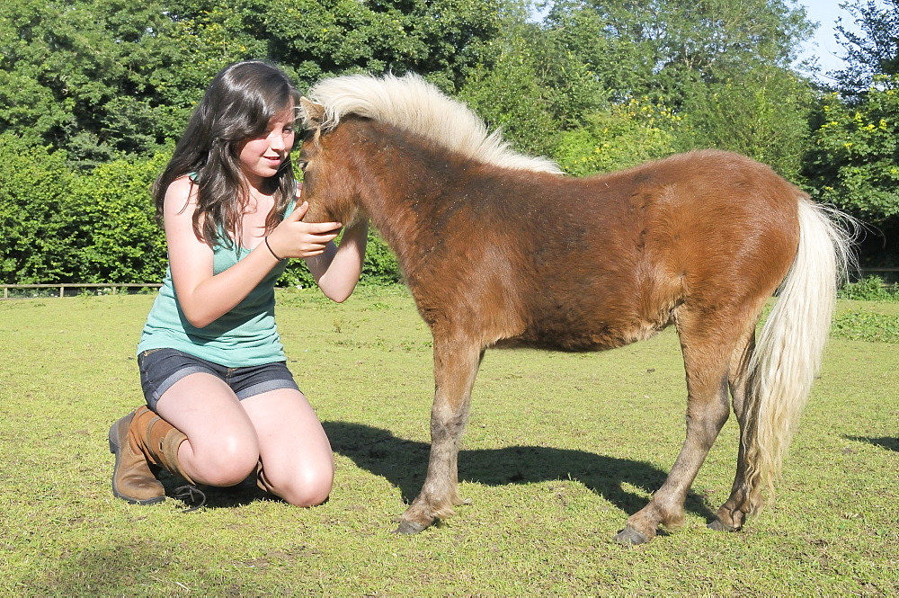 Girl stroking American miniature horse (Equus caballus) foal, Wiltshire, England, United Kingdom, Europe