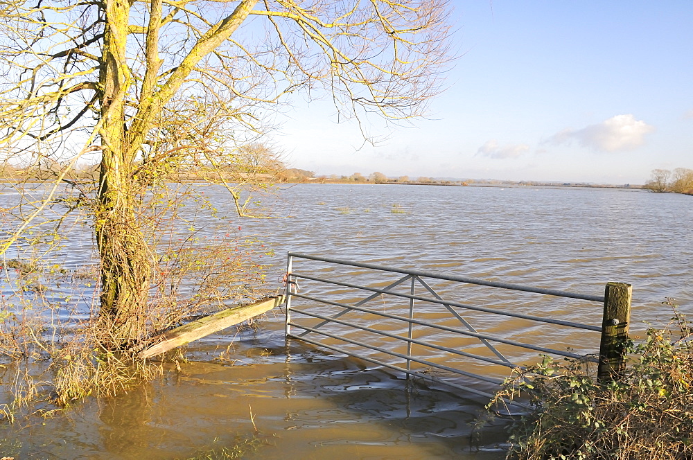 Flooded gateway and pastureland on West Moor near Hambridge on the Somerset Levels after weeks of heavy rain, Somerset, England, United Kingdom, Europe