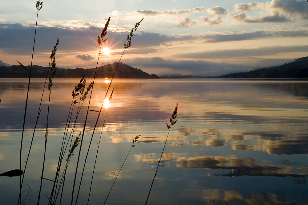 Loch Awe sunrise with long grass in foreground.  Argyll, Scotland