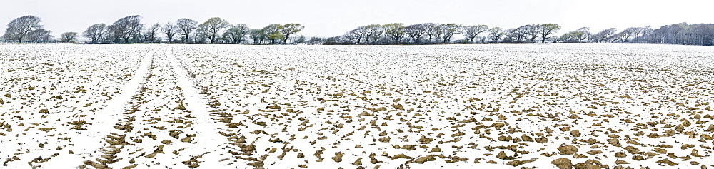 Light dusting of snow on ploughed field, West Sussex, England, United Kingdom, Europe