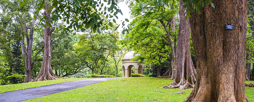 Kandy Royal Botanical Gardens, Peradeniya, Kandy, Sri Lanka, Asia 