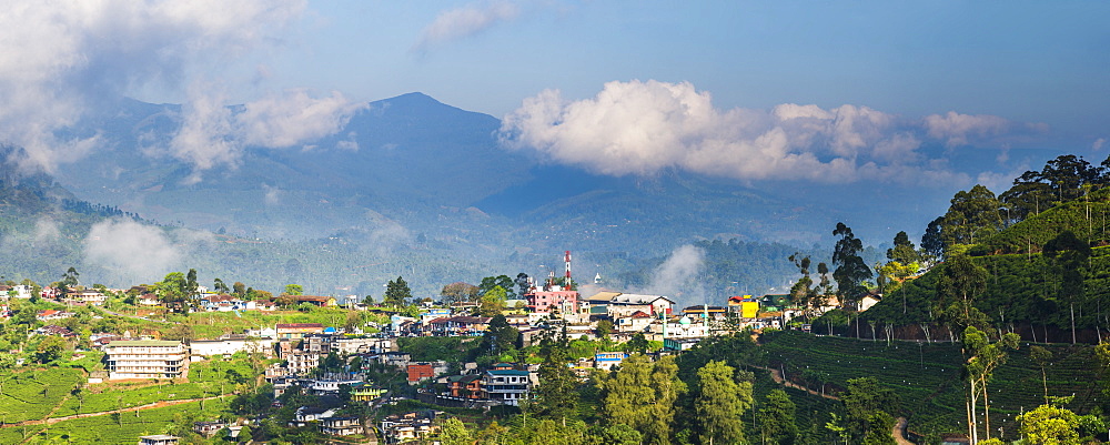 Haputale, Sri Lanka Hill Country, Nuwara Eliya District, Sri Lanka, Asia 